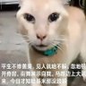 孟浩然 profil fotoğrafı