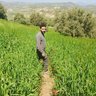 Profilbild von mohamed