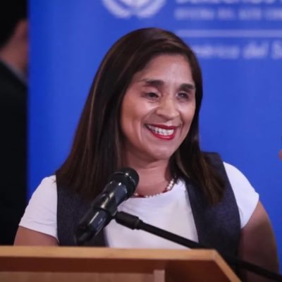 Senadora Fabiola Campillai's profile picture