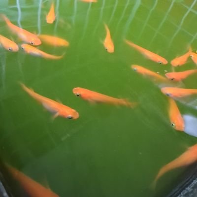 masato_takeko's profile picture
