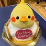Фото профиля Donaぴ2号🐣ꕁ¨̮♪