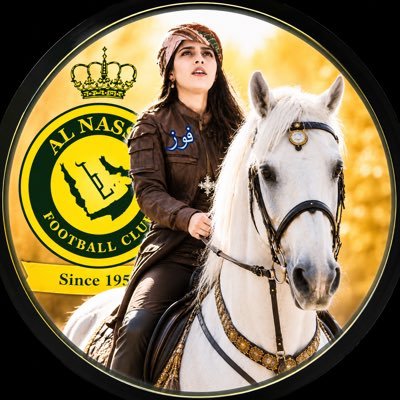 فوز CR7 𓃵"💙💛's profile picture
