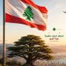 abou diana's profile picture