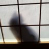Siro/🎧🤍 @不定期浮上 profil fotoğrafı