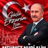 Mehmet Nuri ALİM's profile picture