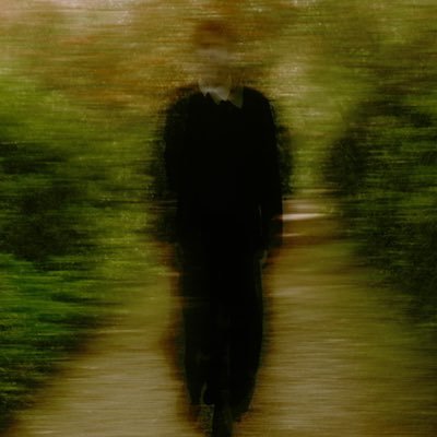 Tamino's profile picture