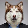 Profilbild von MILTON G