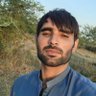 Wali Noor's profile picture