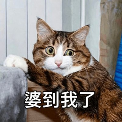 百合's profile picture