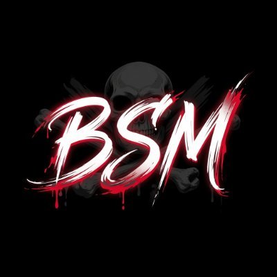 𝔅𝔩𝔞𝔠𝔨𝔰𝔥𝔦𝔯𝔱 𝔐𝔢𝔡𝔦𝔞 ☠️'s profile picture