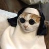 Profilbild von tá lisa?! 🦥