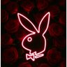Dhanish's profile picture