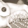 Profilbild von bakedcrepey