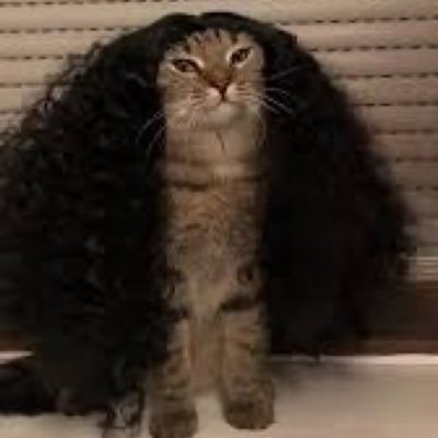 stratfordlove's profile picture