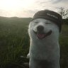 Profilbild von TK
