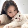 jing禾 的头像