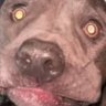 solteira2026's profile picture