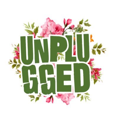 Unplugged Zimbabwe's profile picture