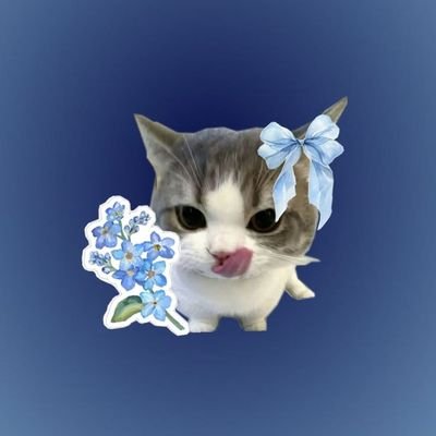 liinaa1_JD03's profile picture