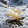 Фото профиля trai xấu