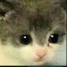 AnnaisHazel's profile picture