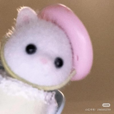 Zoecatball's profile picture