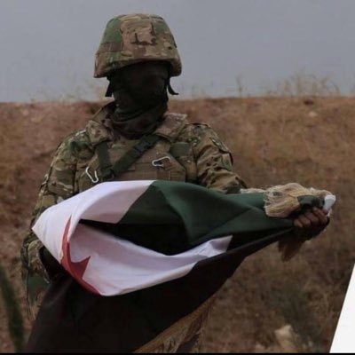 Hassan_ll1's profile picture