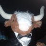 Profilbild von Gregory Wrinkle