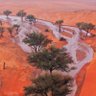 قلب نجد profil fotoğrafı