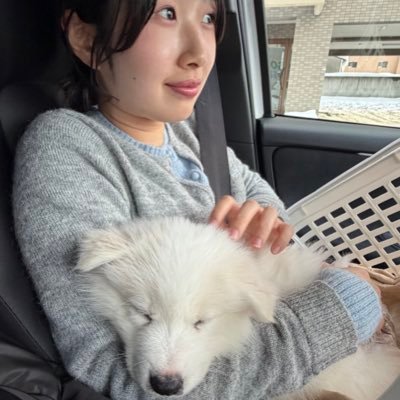 soleil_colza_'s profile picture
