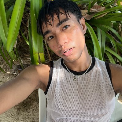 noviembresinko's profile picture