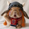 Profilbild von ConeHaaland🇳🇴✨🪽