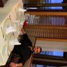 Mehdi Marouane's profile picture