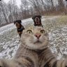 Profilbild von •