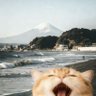 mc profil fotoğrafı