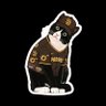 Yuki Matt-sui's profile picture