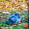 lo.gunhnt profil fotoğrafı