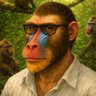 Mandrilandia profil fotoğrafı