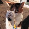 Profilbild von aaaaaaaaaaaaaaaaaaaa