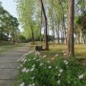 longerong 的头像