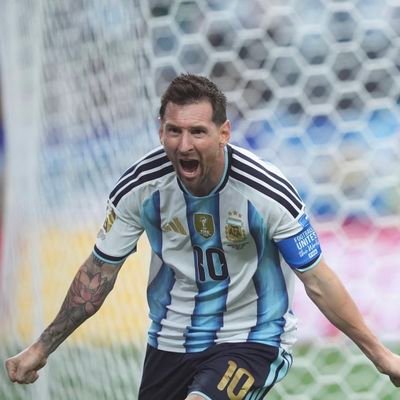 PIERREMIGUELSO's profile picture