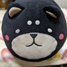 こげたSP 的头像