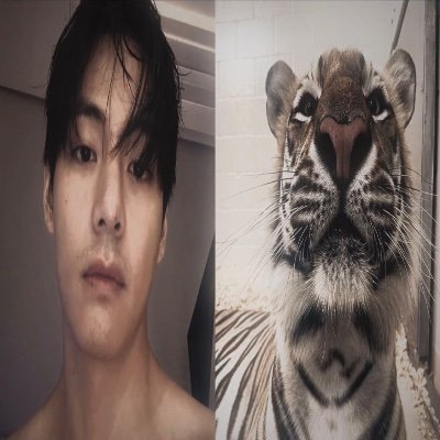 DЦDΛ⁷'s profile picture