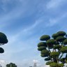 Mộc Lan 的头像