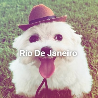 ana's profile picture