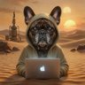 Apollo profil fotoğrafı
