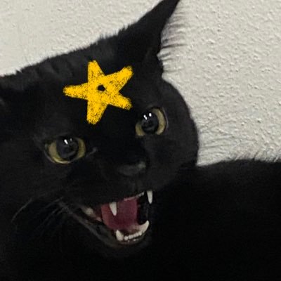 whycarolzinea's profile picture