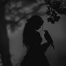 زبرجد🦉 profil fotoğrafı