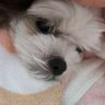 車と風の彩's profile picture