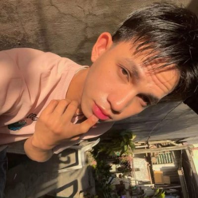 。.゚bob.'s profile picture